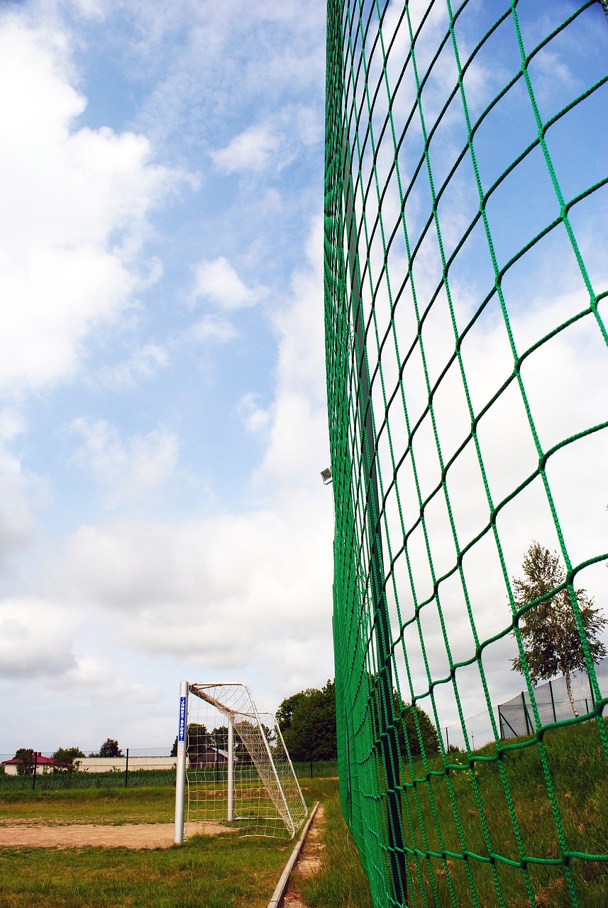 是有意为之 是有意为之