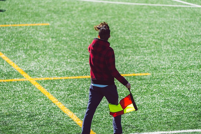 预测与期待 预测与期待