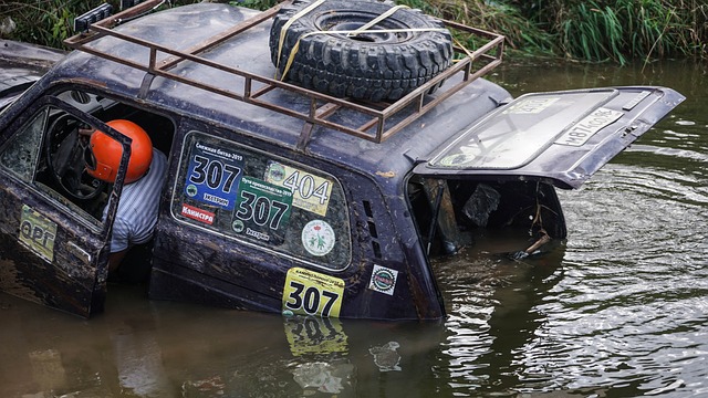 在每年的分 在每年的分