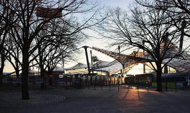 这背后反映 这背后反映