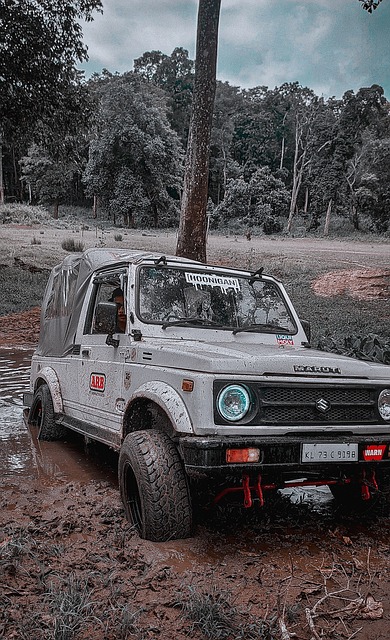 球队核心框 球队核心框